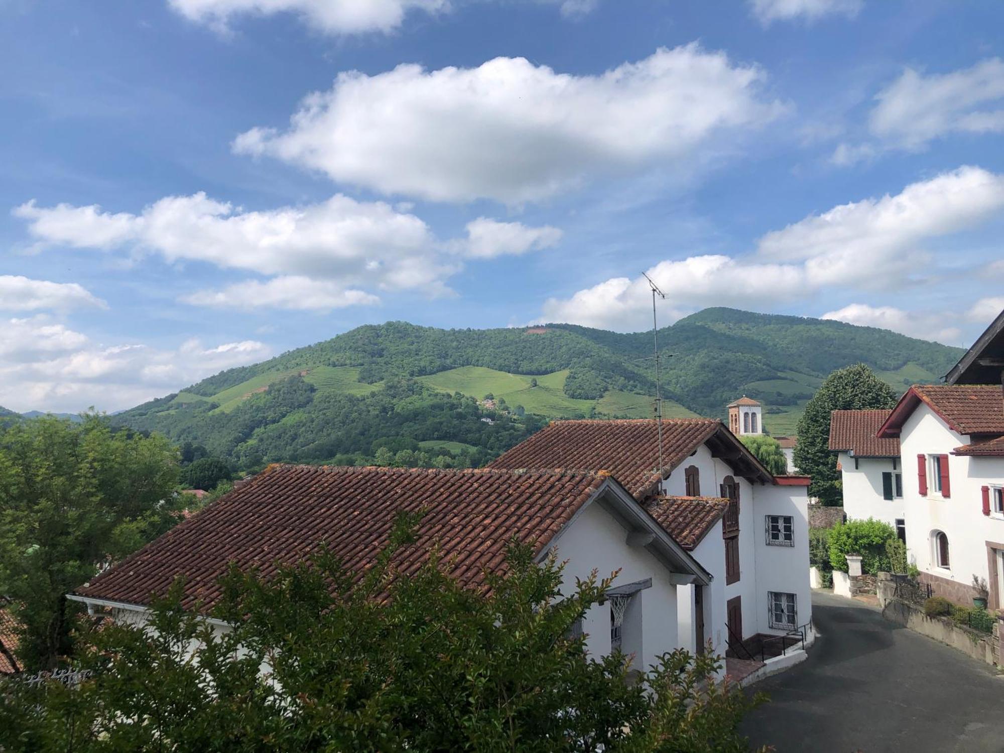 Maison D'Hotes Larraldia Uhart-Cize Екстер'єр фото